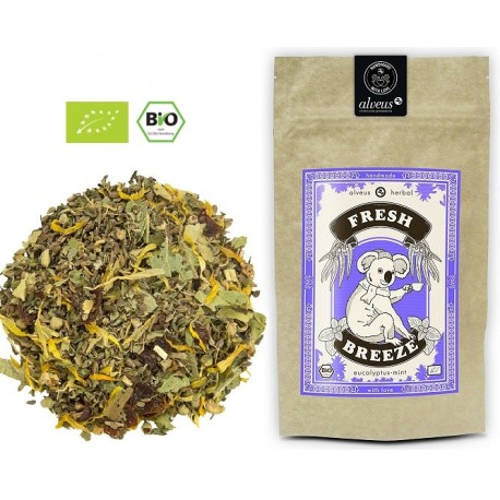ALVEUS herbata ORGANIC BIO Herbal Fresh Breeze Poranna Bryza sklep cena