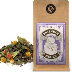ALVEUS herbata ORGANIC BIO Herbal Friendly Belly Spokój Brzucha sklep cena